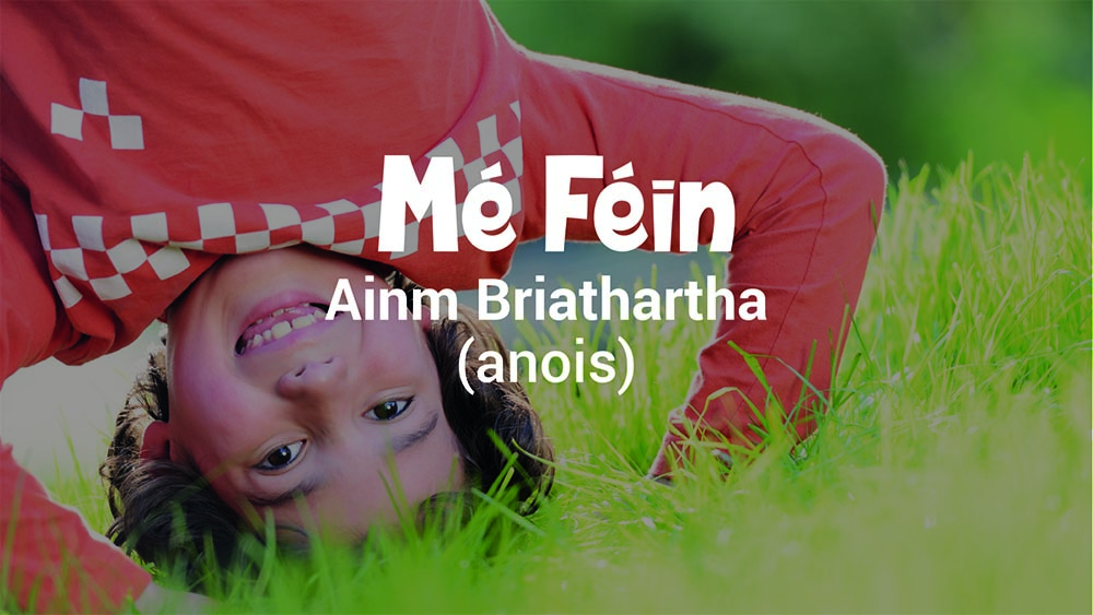 Ainm Briathartha